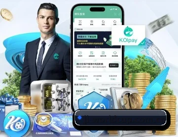 世界杯 APP 深度功能